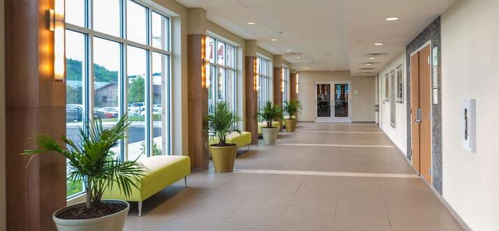 5 Handpicked Pet-Friendly Hotels In Morgantown, West Virginia