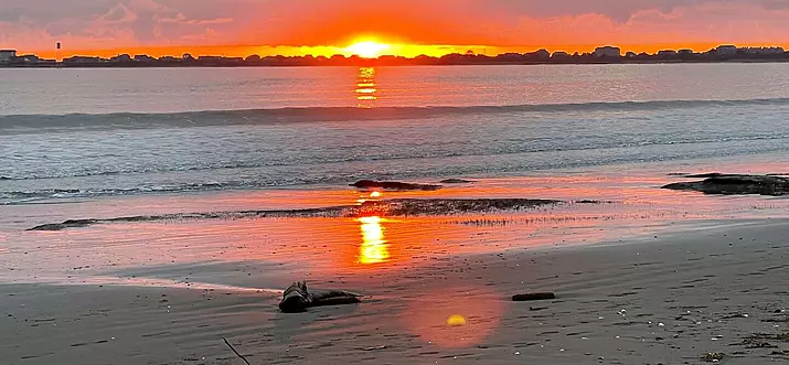 10 Handpicked Beachfront Hotels In Ocean Shores, Washington