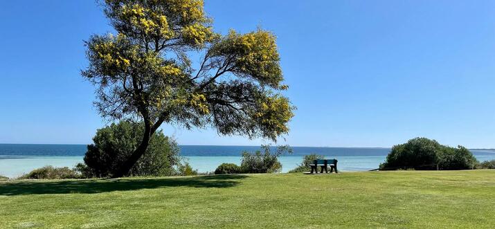 Top 17 Cheap Airbnb Vacation Rentals In And Near Moonta, Australia
