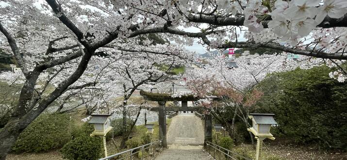 7 Best Places to Visit In Saga, Japan, For Introverts