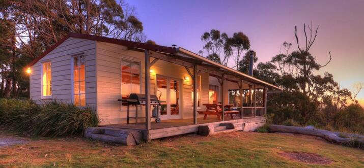pet-friendly airbnbs in stanley tasmania