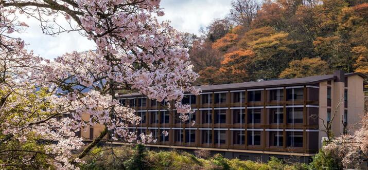 luxury hotels hakone