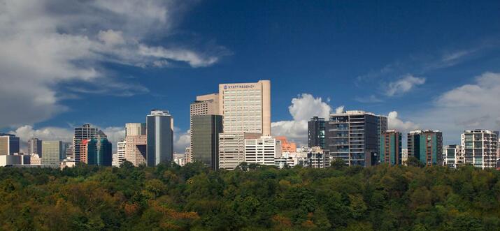 10 Best Hotels In Polanco, Mexico