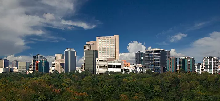 10 Best Hotels In Polanco, Mexico