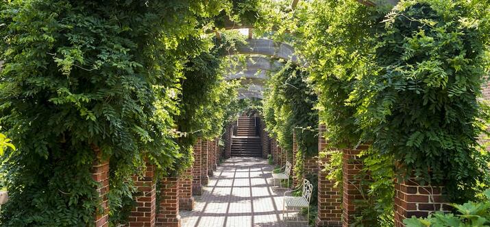 8 Best Luxury Hotels In Williamsburg, Virginia