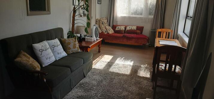10 Handpicked Airbnb Vacation Rentals In Featherston, New Zealand