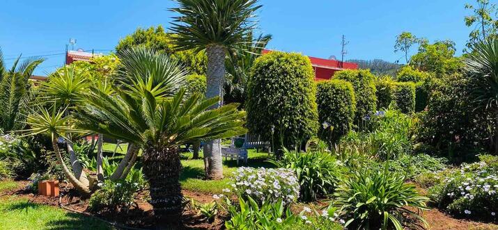 Airbnb alojamientos Tenerife