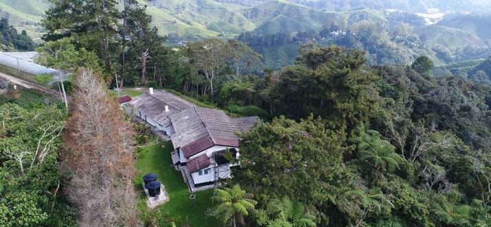 unique stay in cameron highlands