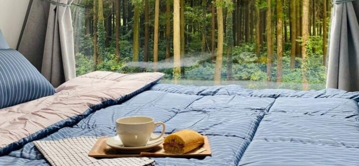 6 Airbnbs In Jeju Island, South Korea, For An Idyllic Retreat