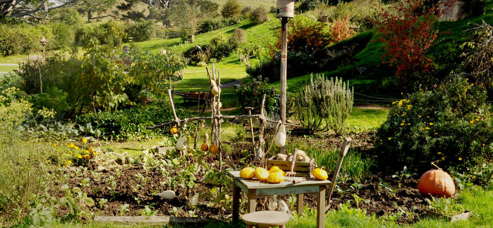 Relish In A Day Of Adventure: Hobbiton Day Tour, New Zealand