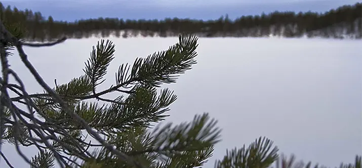 Basecamp Oulanka: In Search Of An Arctic Adventure In Finland
