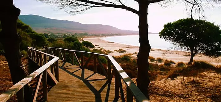 7 Handpicked Airbnb Vacation Rentals In Bolonia, Spain