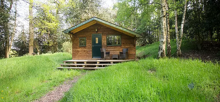 Top 18 Airbnbs In Guildford, England