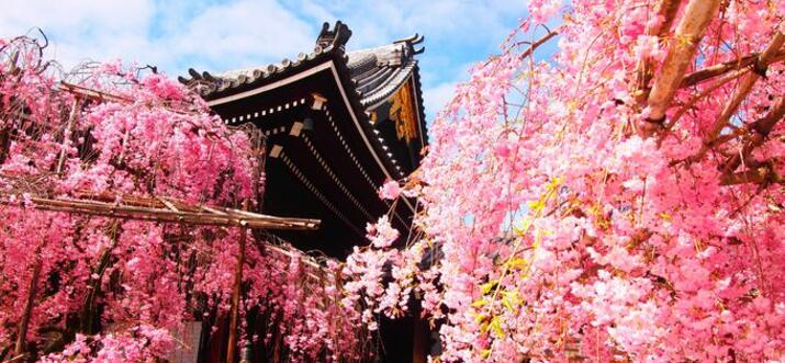 cafes in Kyoto (prefecture)