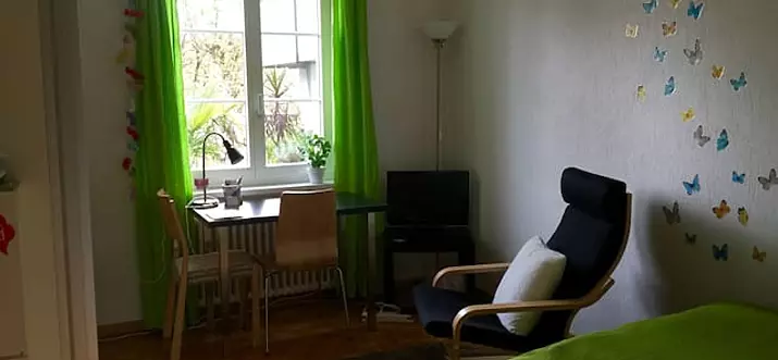 Top 16 Airbnb Vacation Rentals In Baden, Switzerland