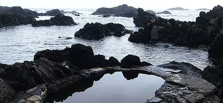 Where it rains 35 days per month: a trip to enjoy Yakushima’s "water"