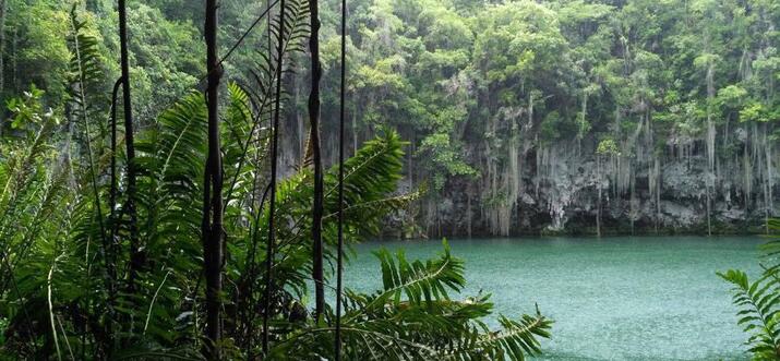 Beauty In The Deep At Los Tres Ojos In Santo Domingo, DR