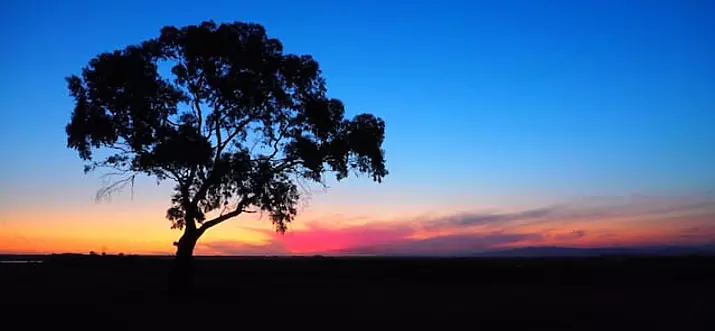 Top 10 Airbnb Vacation Rentals In Yarram, Australia
