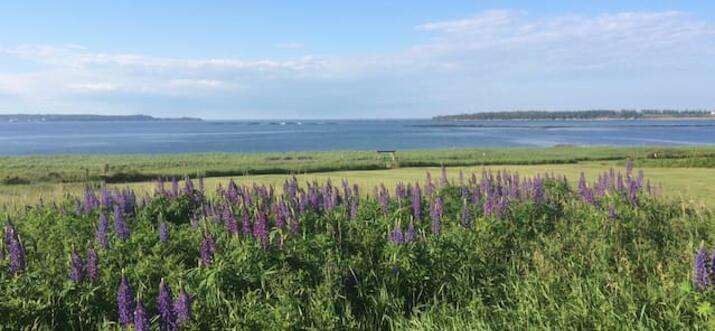 airbnb Grand Manan