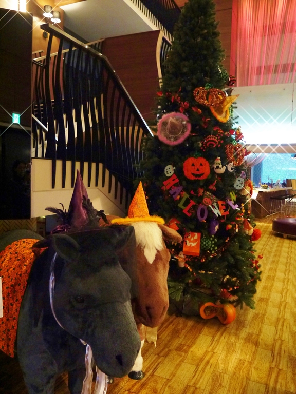 niseko northern resort annupuri in hokkaido | the interior is quite international!