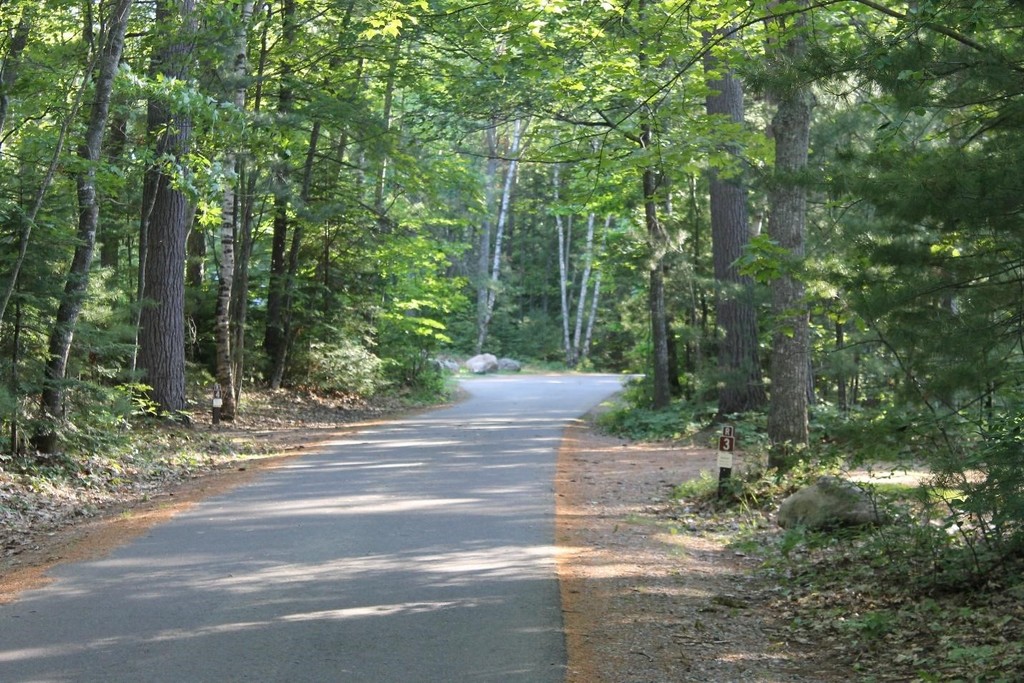 Bay View Campground’s one road, connecting to all campsites.