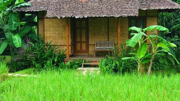 resorts in mae hong son | resort setting amid peaceful greenery and rice fields