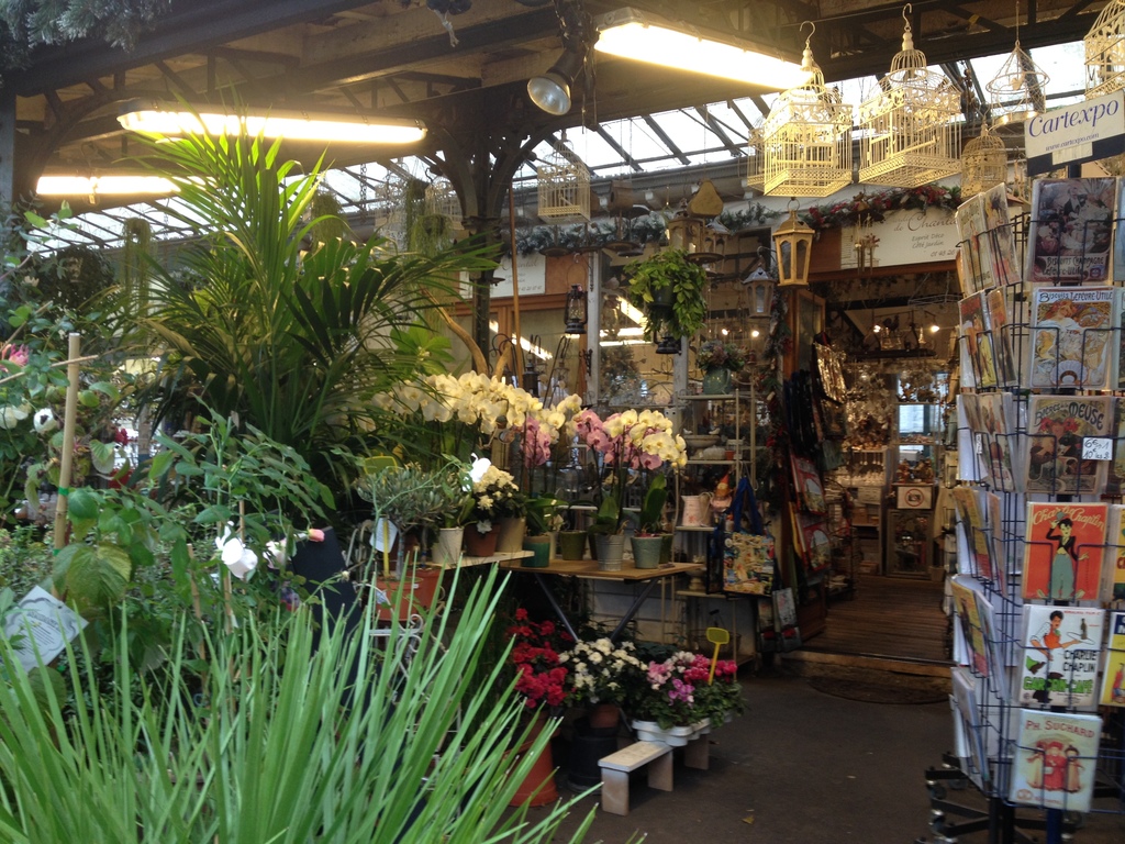Flowers at the flower market