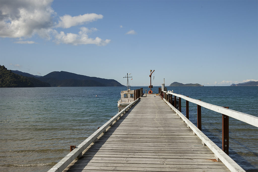Dryden Bay's peer.