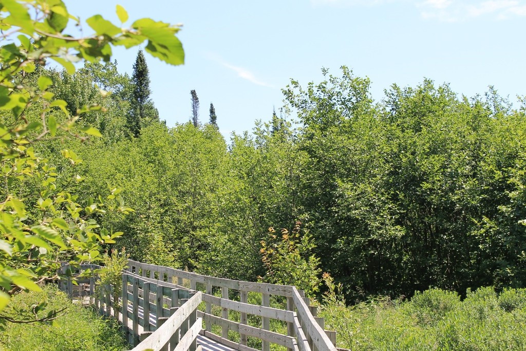 The fully-accessible boardwalk winds through a range of picturesque habitat.