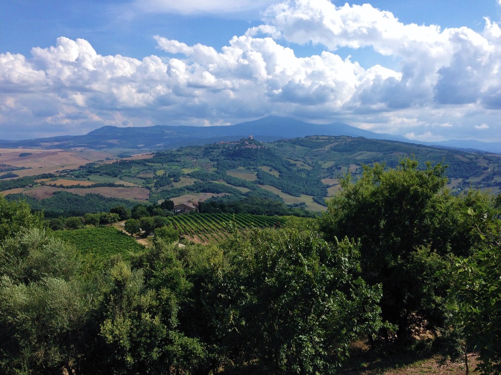 things to do in siena (province) | find val d'orcia and enjoy its places, panoramas, and the food!