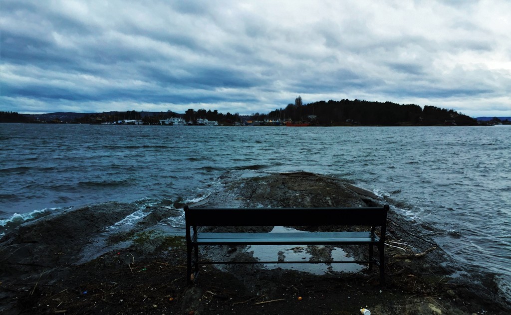 tour through oslo fjord | have a tour across hovedøya, an island of history