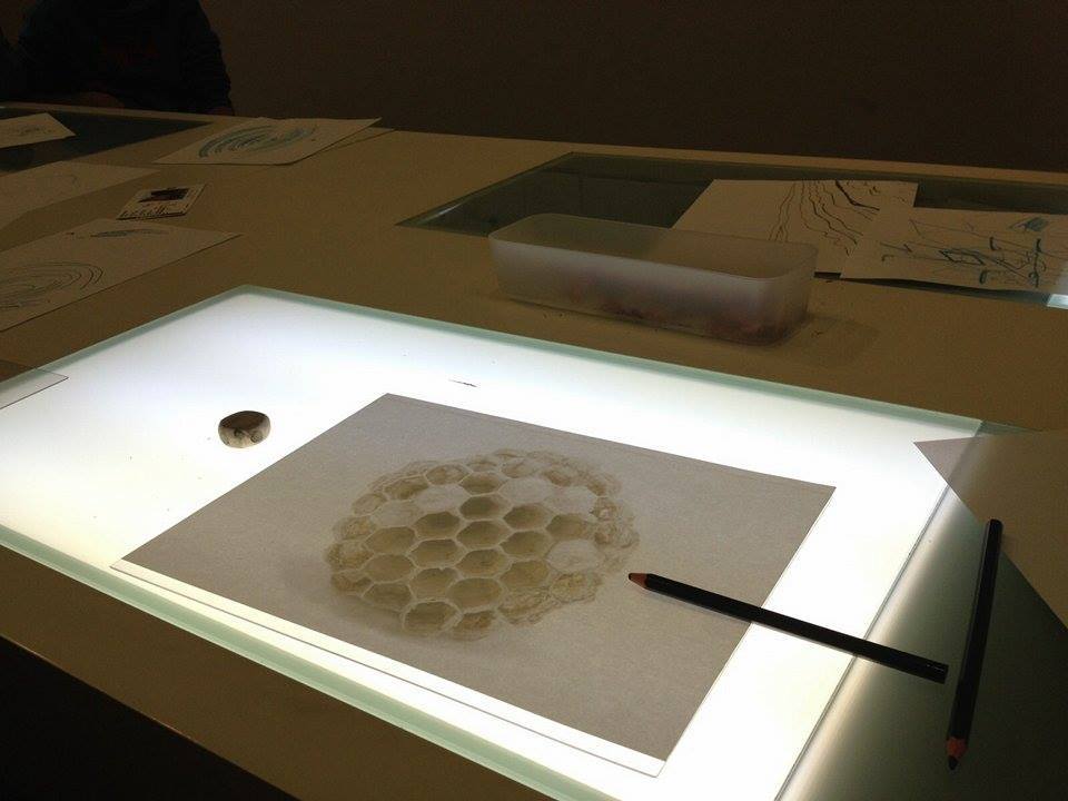 things to do in caixaforum madrid | take the experience with you