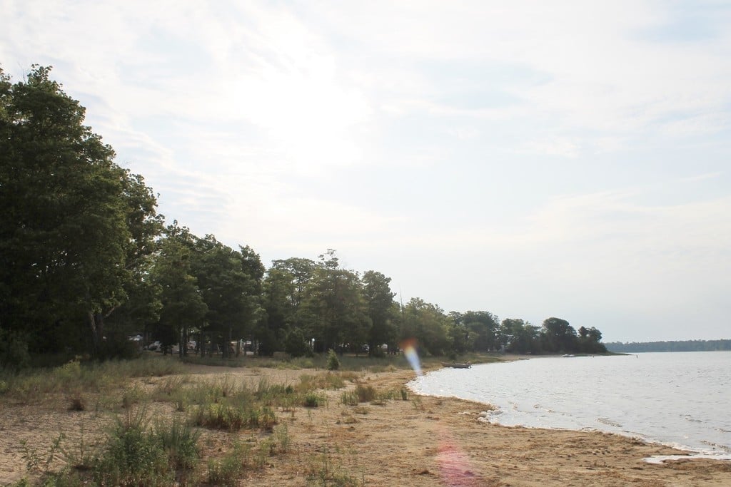 camping in newberry | choose your beach, or sample them all