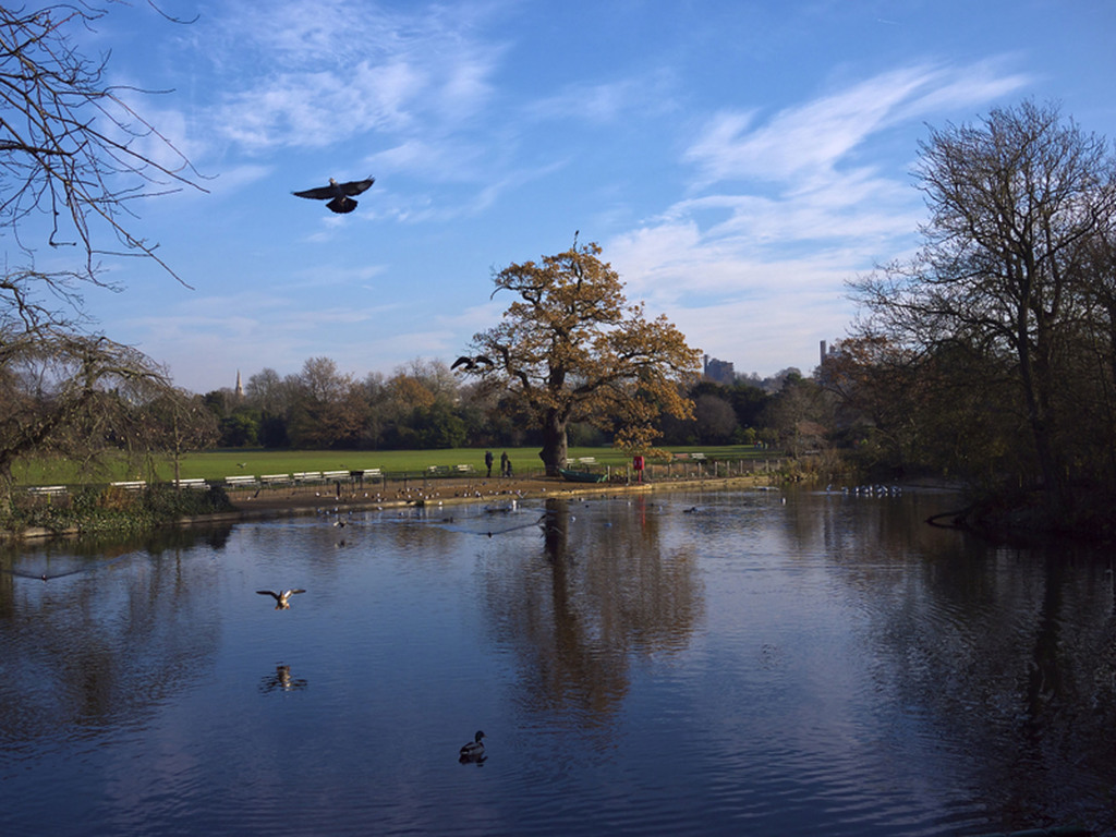Dulwich Park