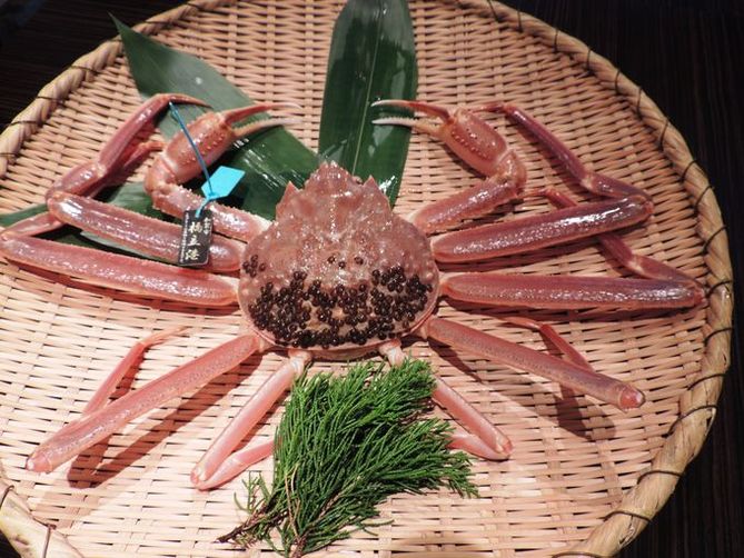 onsens in kaga | enjoy an extravagant plan of crab and onsen at yamashiro onsen a part of kaga onsen town