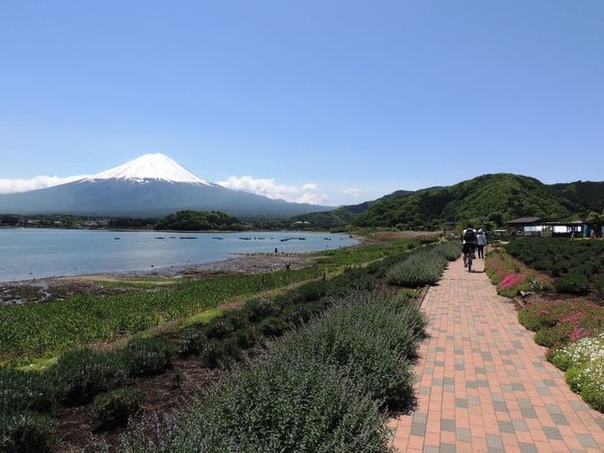 get on the kawaguchiko retro bus and head to oishi park