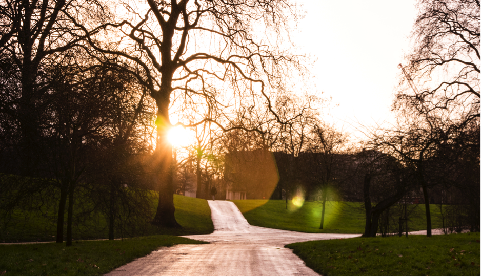 things to do in west kensington | feel the heart of royalty at green park