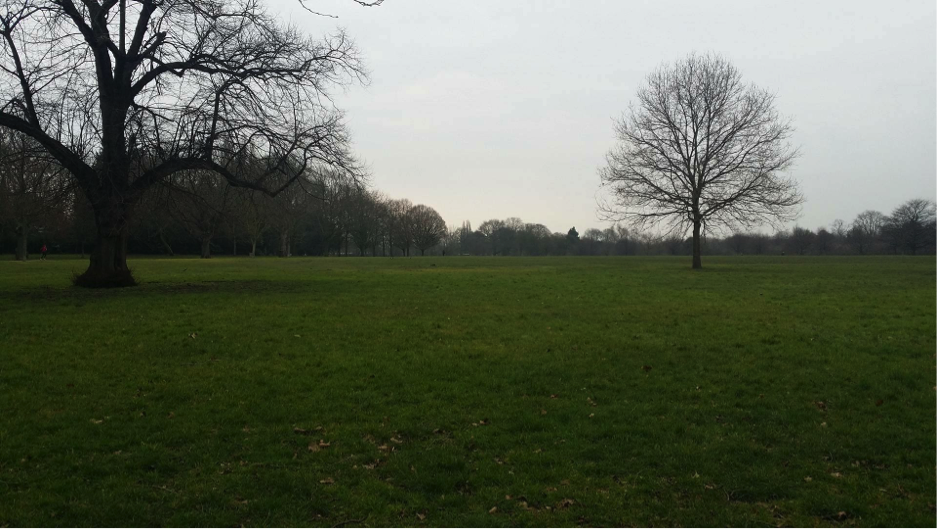 spend a fulfilling day in regent's park