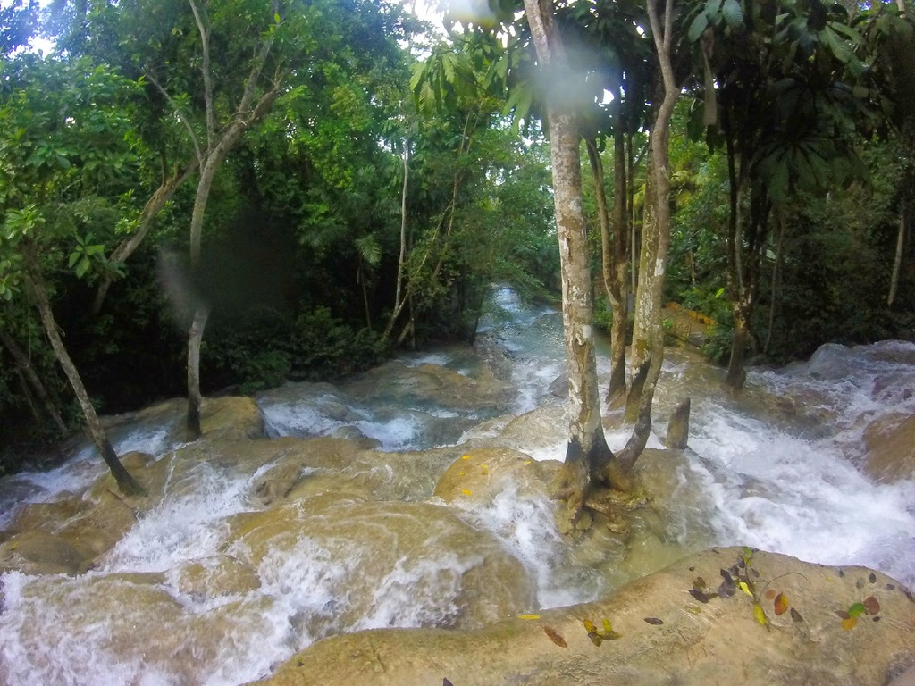 attractions in ocho rios | climbing the falls