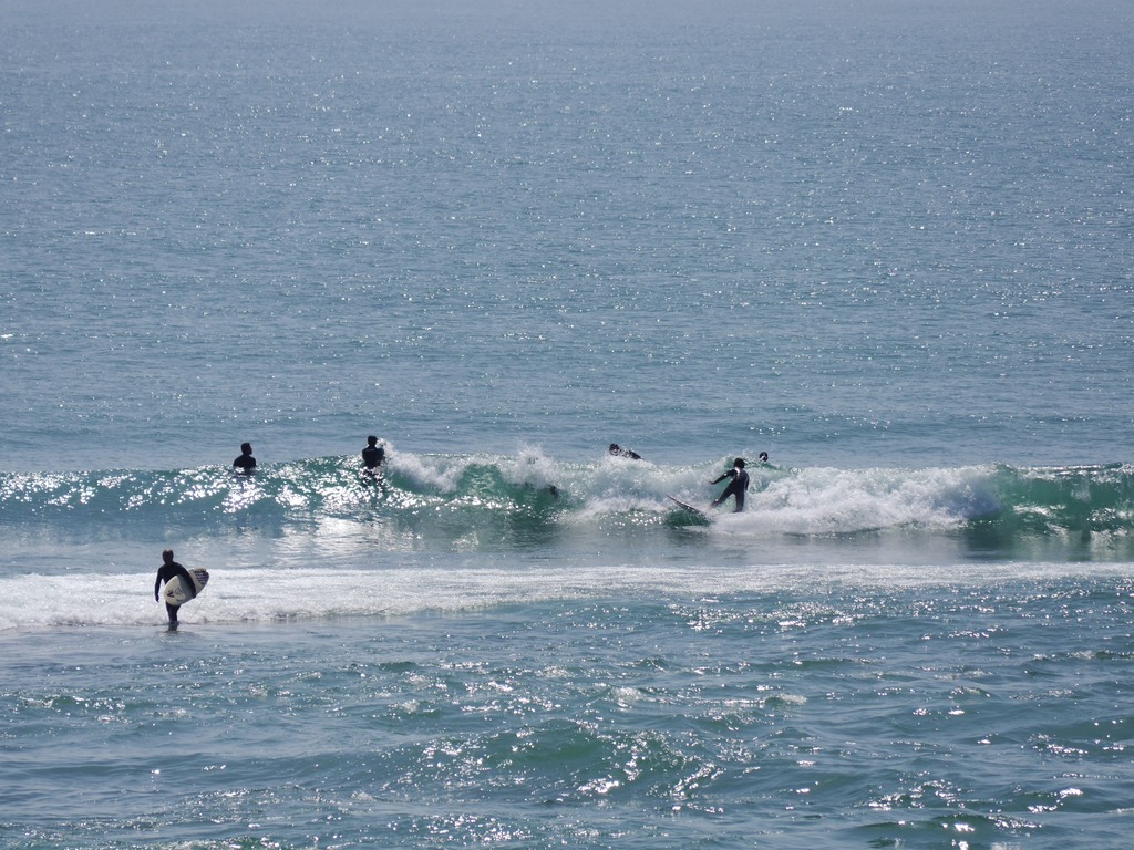 surfing