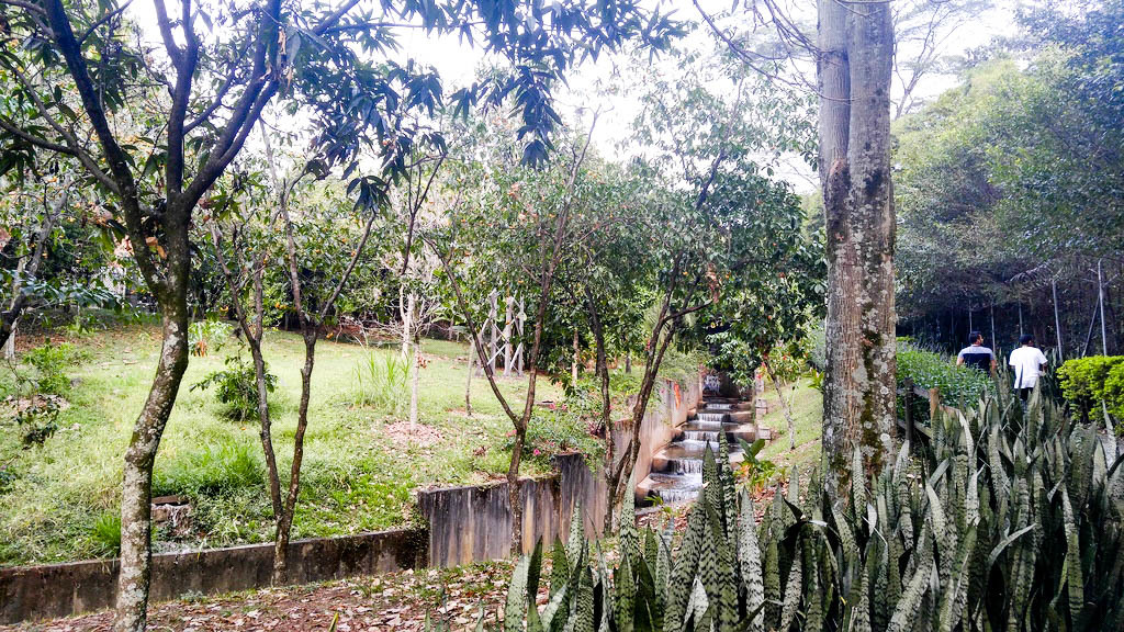 things to do in colombia | soak in some sun while enjoying medellin's beautiful parks