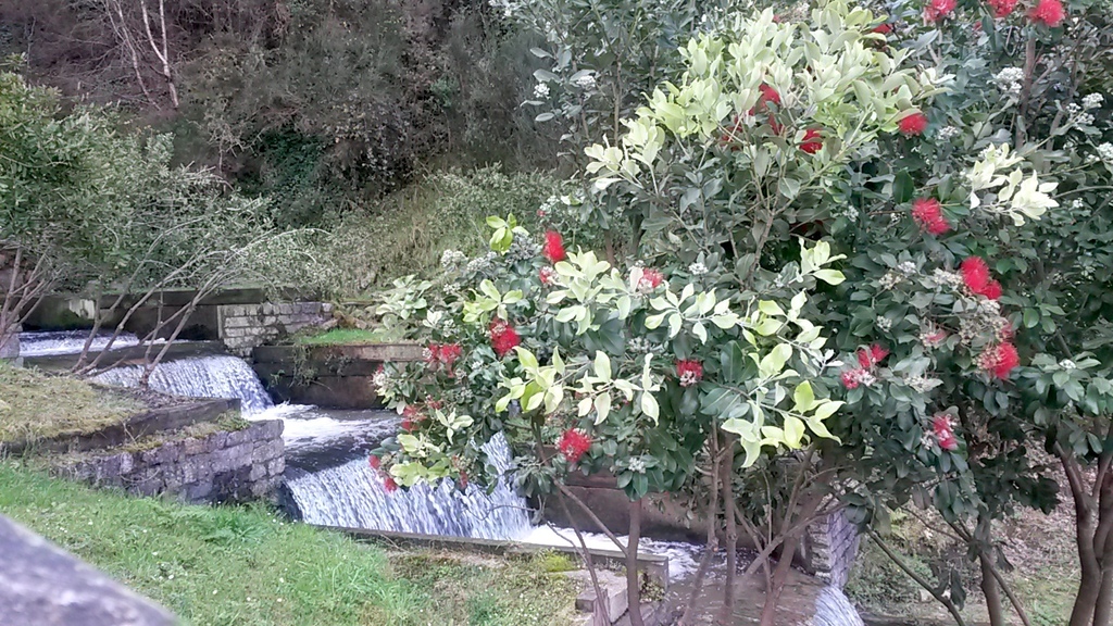 The waterfall that flows out the tunnel