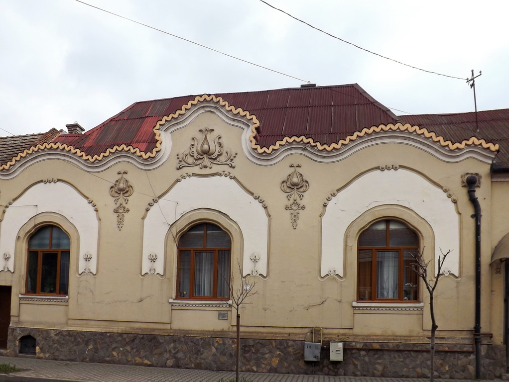 cuza voda street