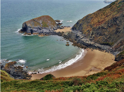 things to do for wildlife lovers in united kingdom | dolphins and whales in cardigan bay, wales
