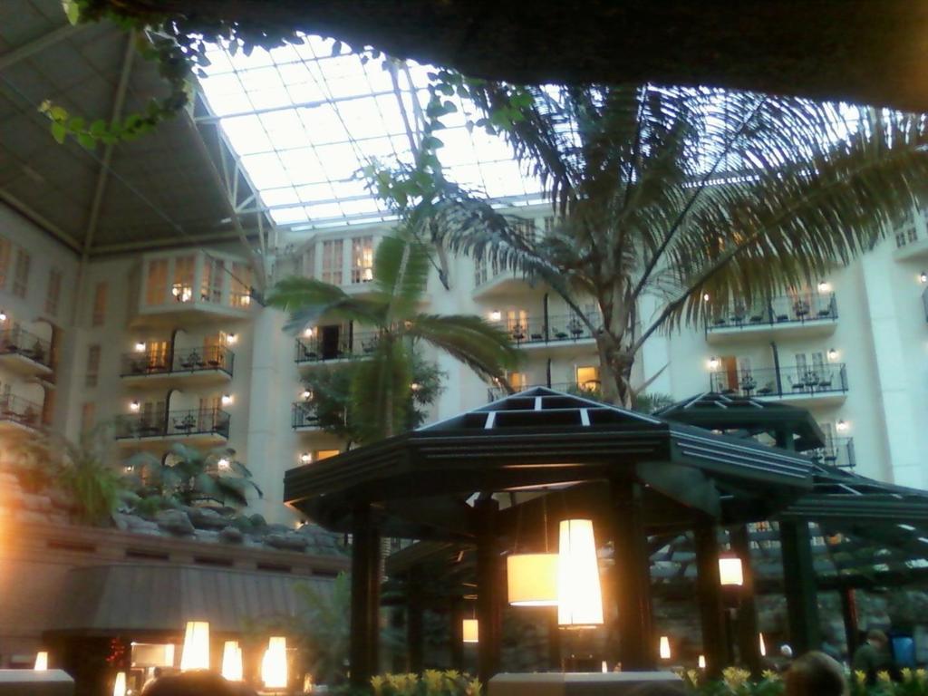 Lights start to glow at dusk in the Gaylord’s eateries. 					