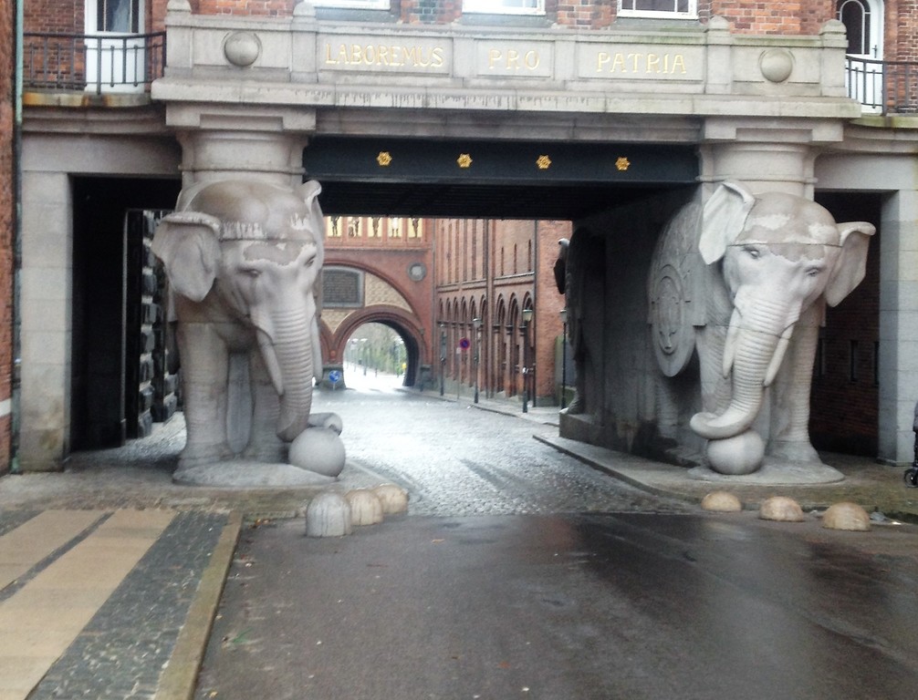 Elephant gate 