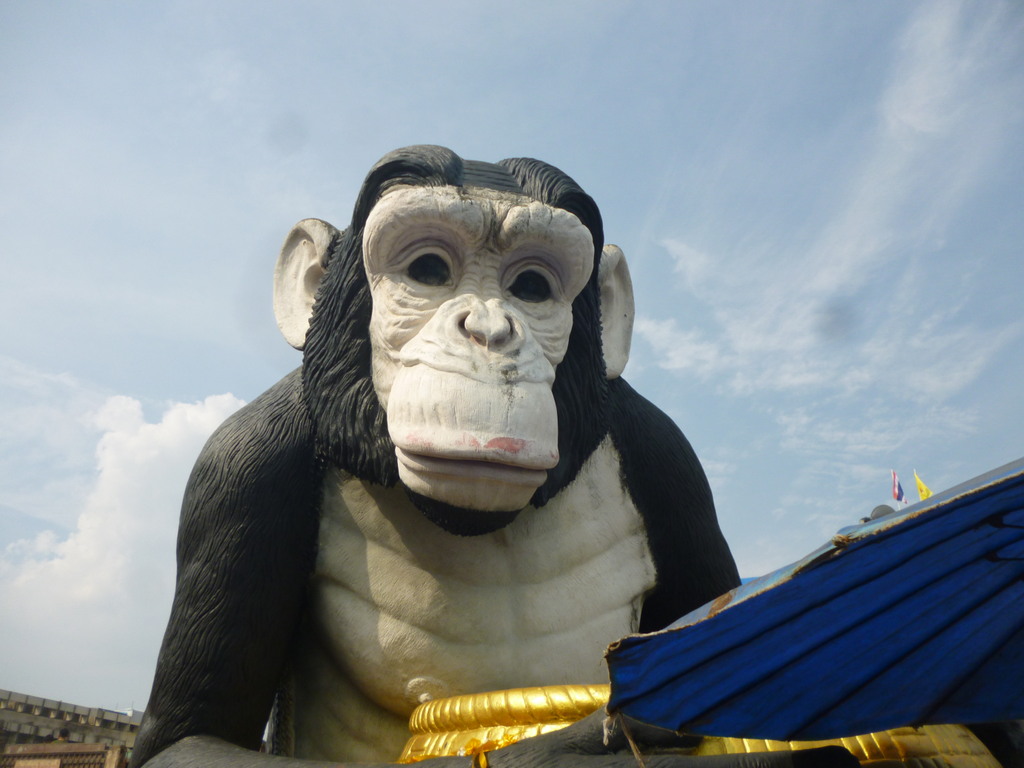 festivals in lop buri | monkeys, monkeys, everywhere!