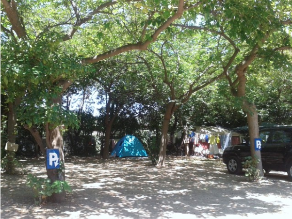 things to do in peloponnese | stay at the idyllic nicolas i campground