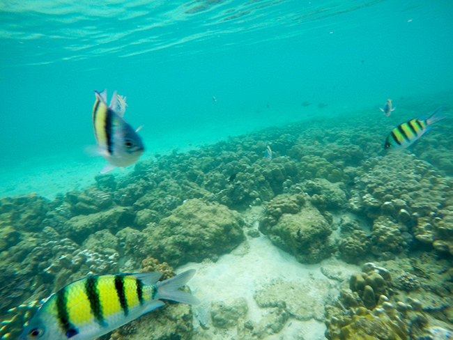 Phi Phi Relax Beach Resort