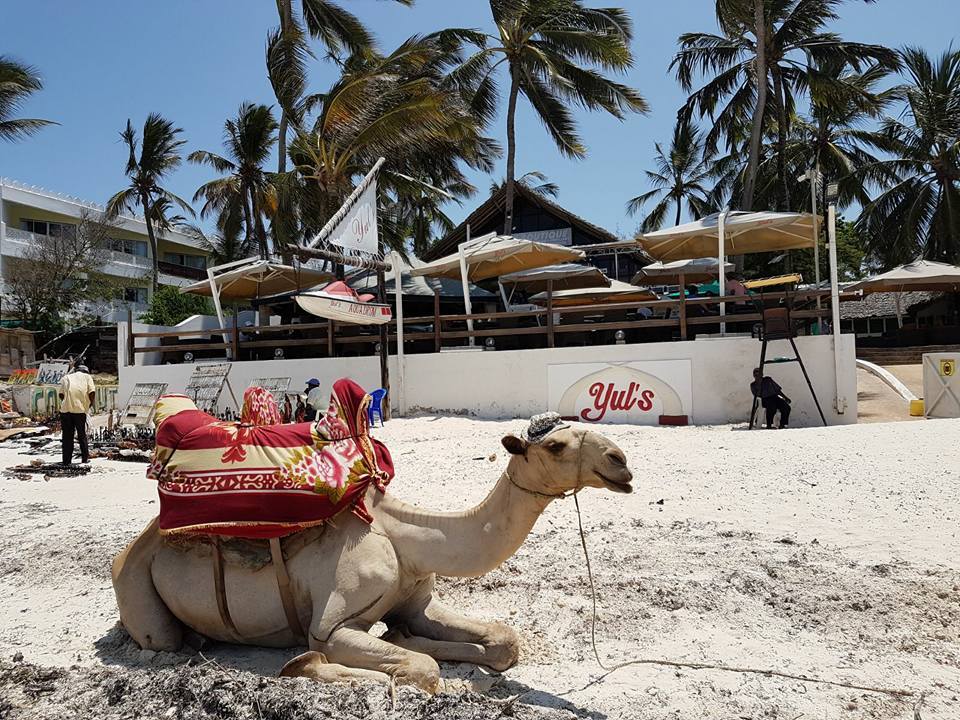 ice cream in mombasa | accessible via the street or beach